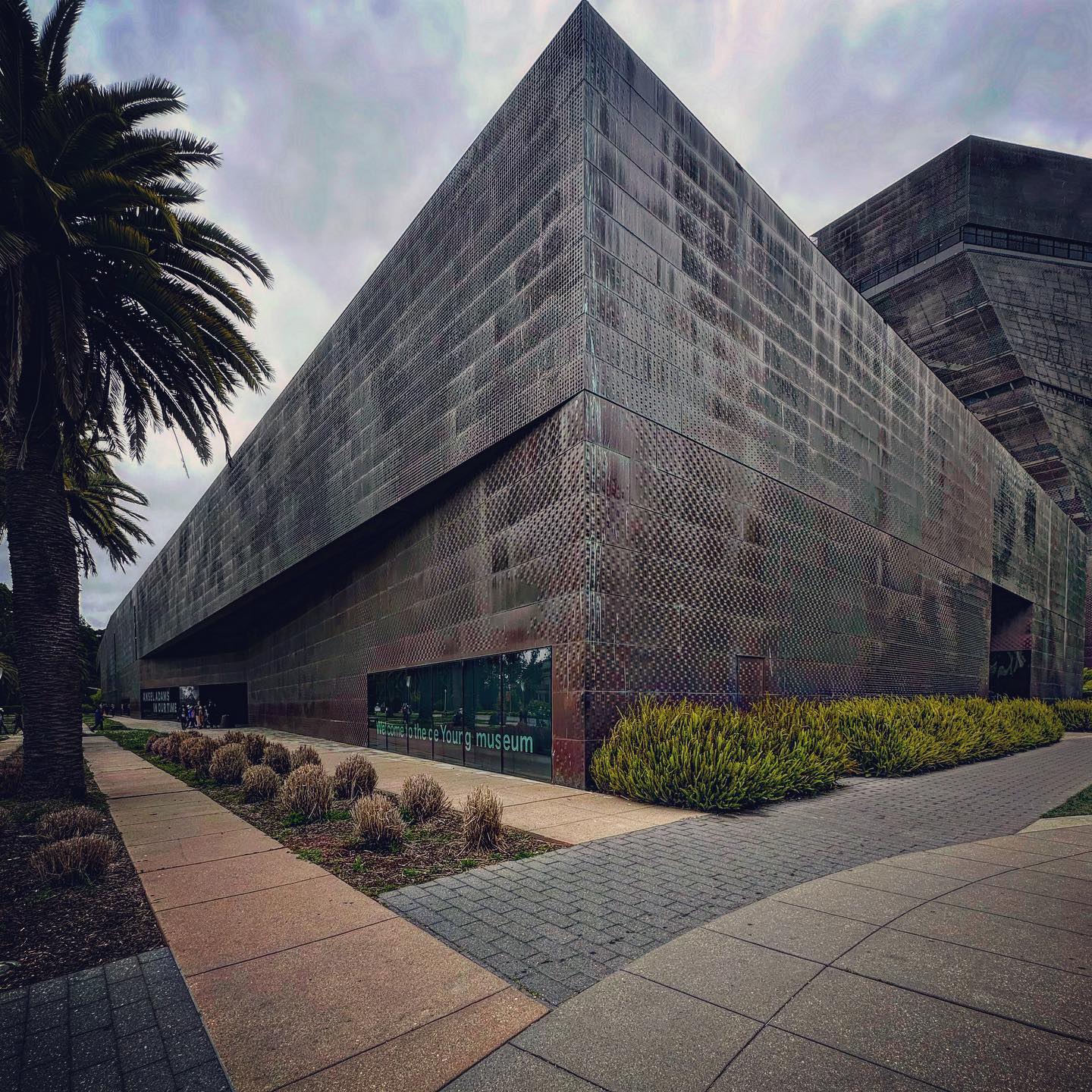 An angular metal-clad museum volume bordered by palms and planting.