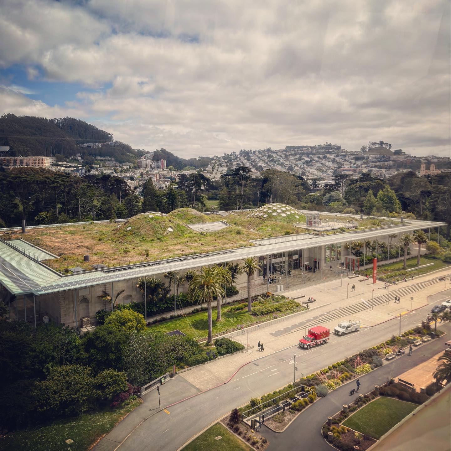 A planted undulating roof above a low glazed building, roads and parkland.
