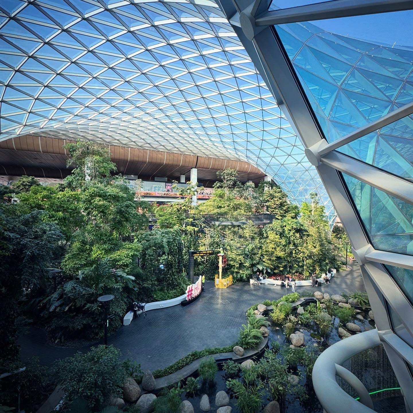 Trees and planted terraces beneath the airport’s glazed roof and branching structure.