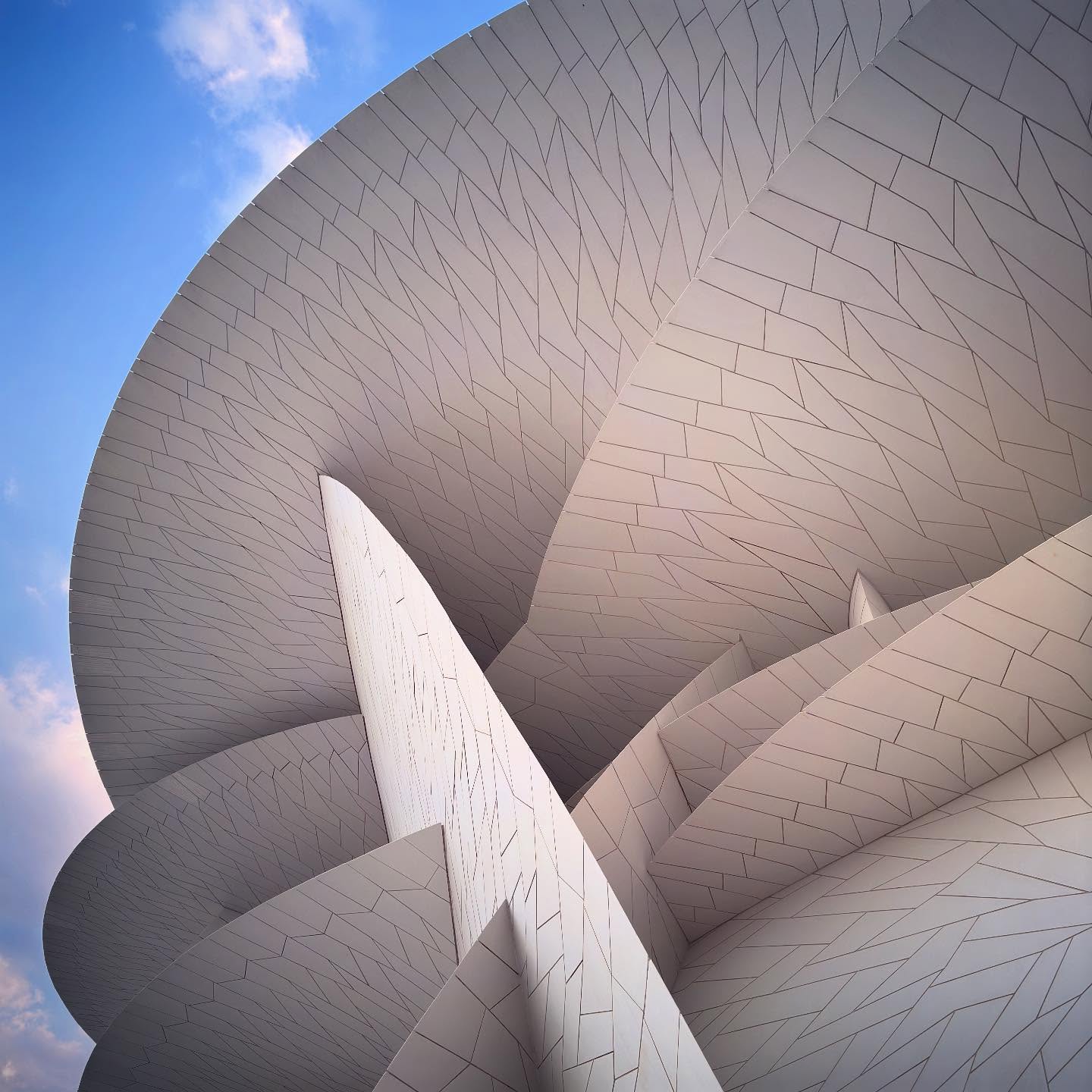 Pale patterned discs overlap above a narrow view of the sky.