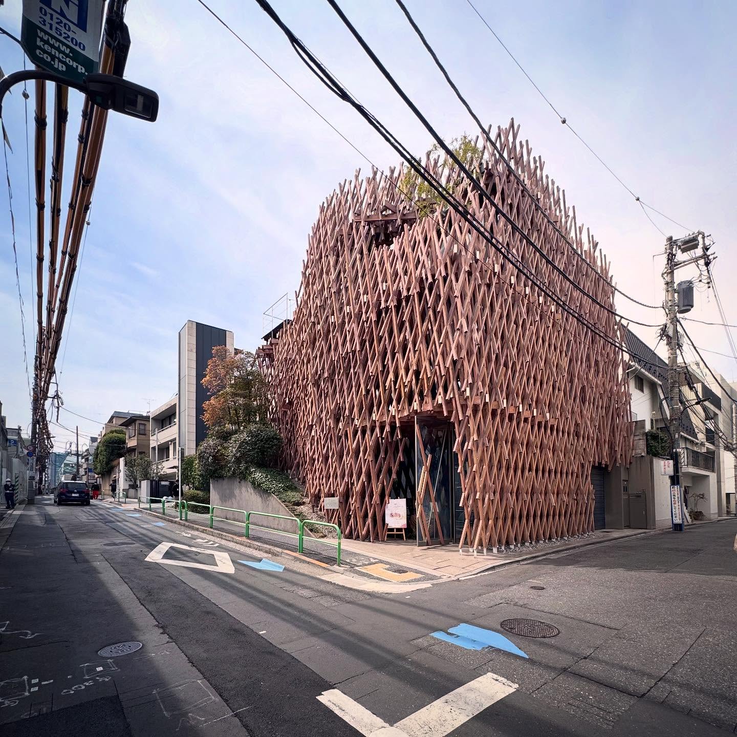 An intricate timber lattice wrapping the SunnyHills building.