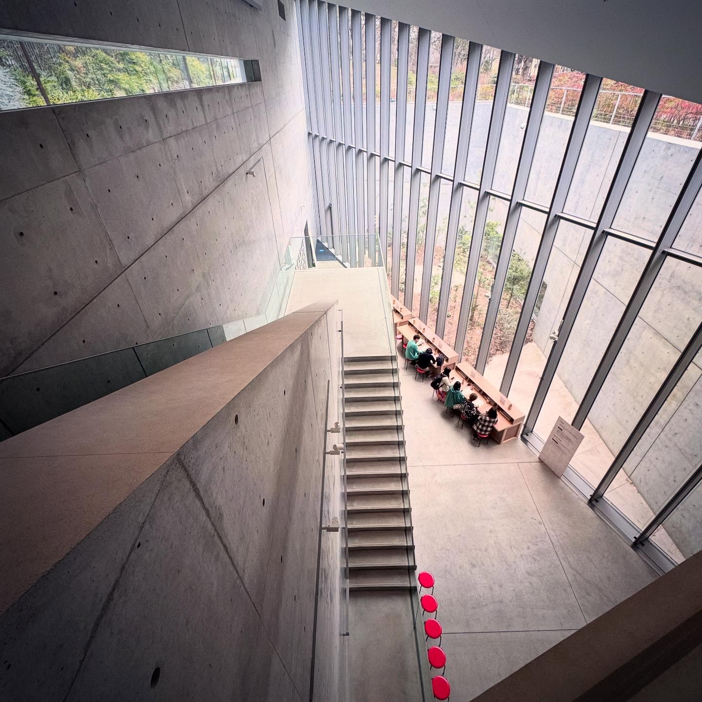 A view down a concrete staircase beside tall glazing.