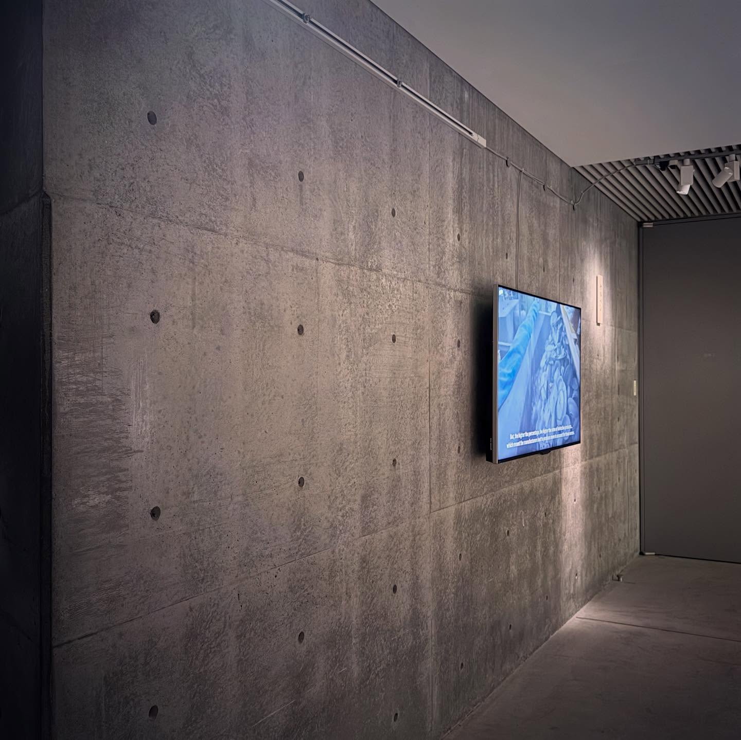 Light falling across an exposed concrete wall and a small display.