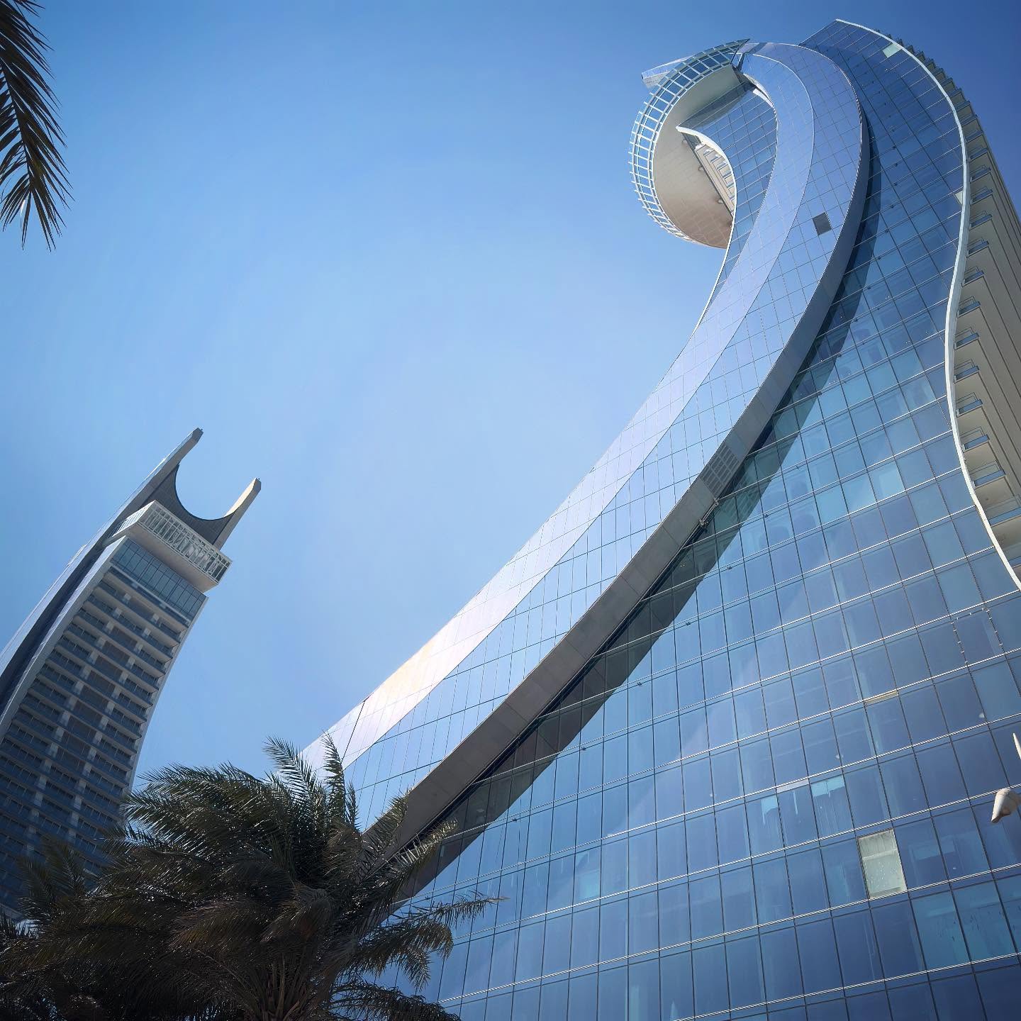 Curved glass towers rising above palm trees in Lusail Marina.