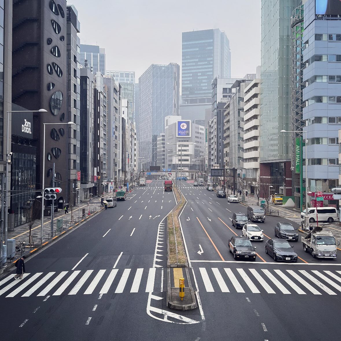 Broad zebra crossings and buildings lining a Tokyo avenue.