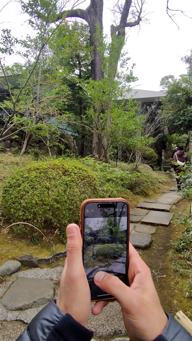 Reel cover showing stepping stones and planting in a Japanese garden.