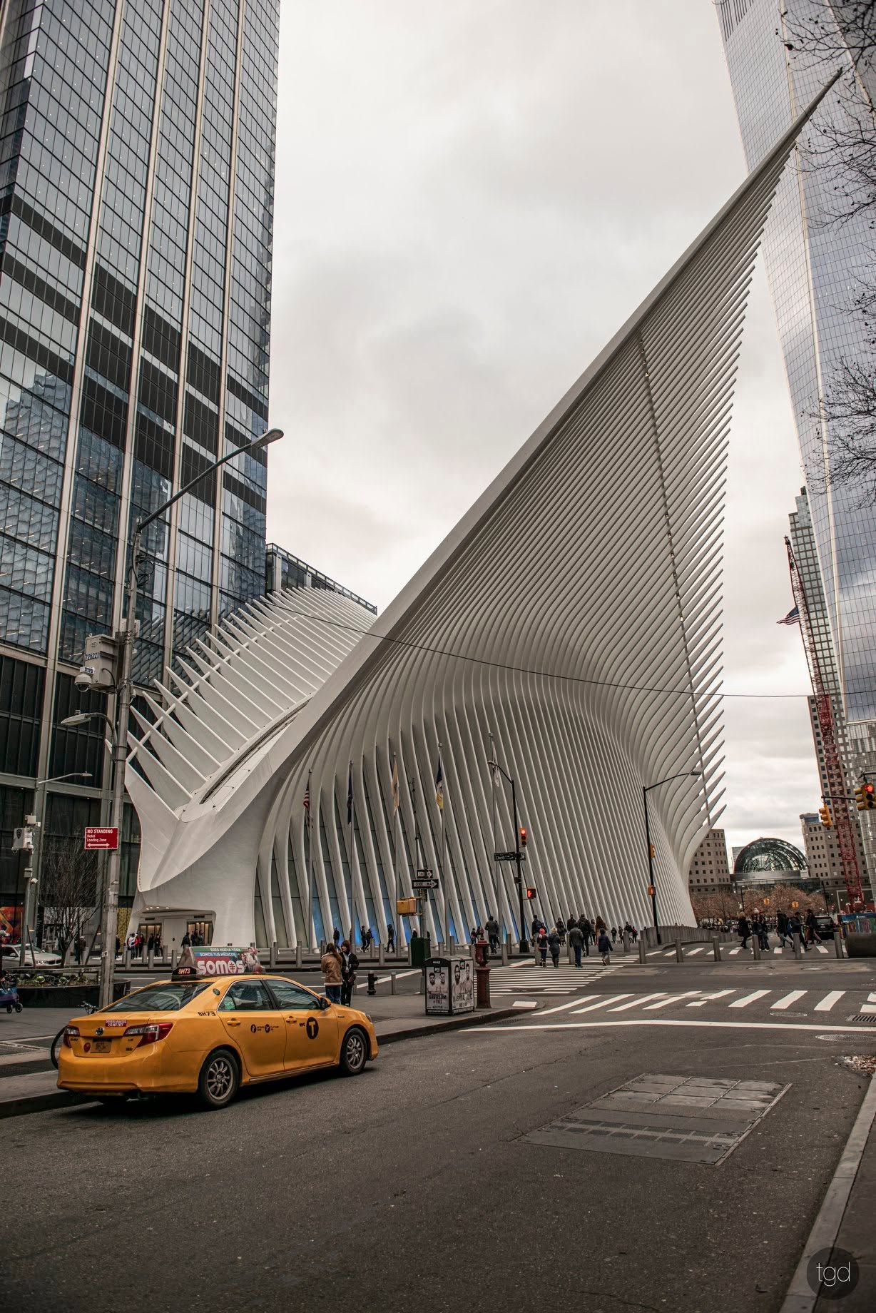 The white ribs of the Oculus beside surrounding towers, with a yellow taxi in the foreground.