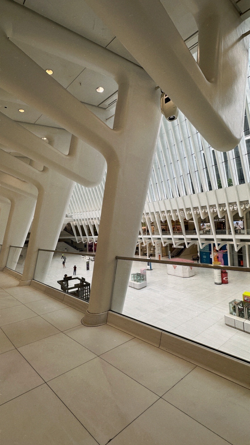Between the ribs. The Oculus.