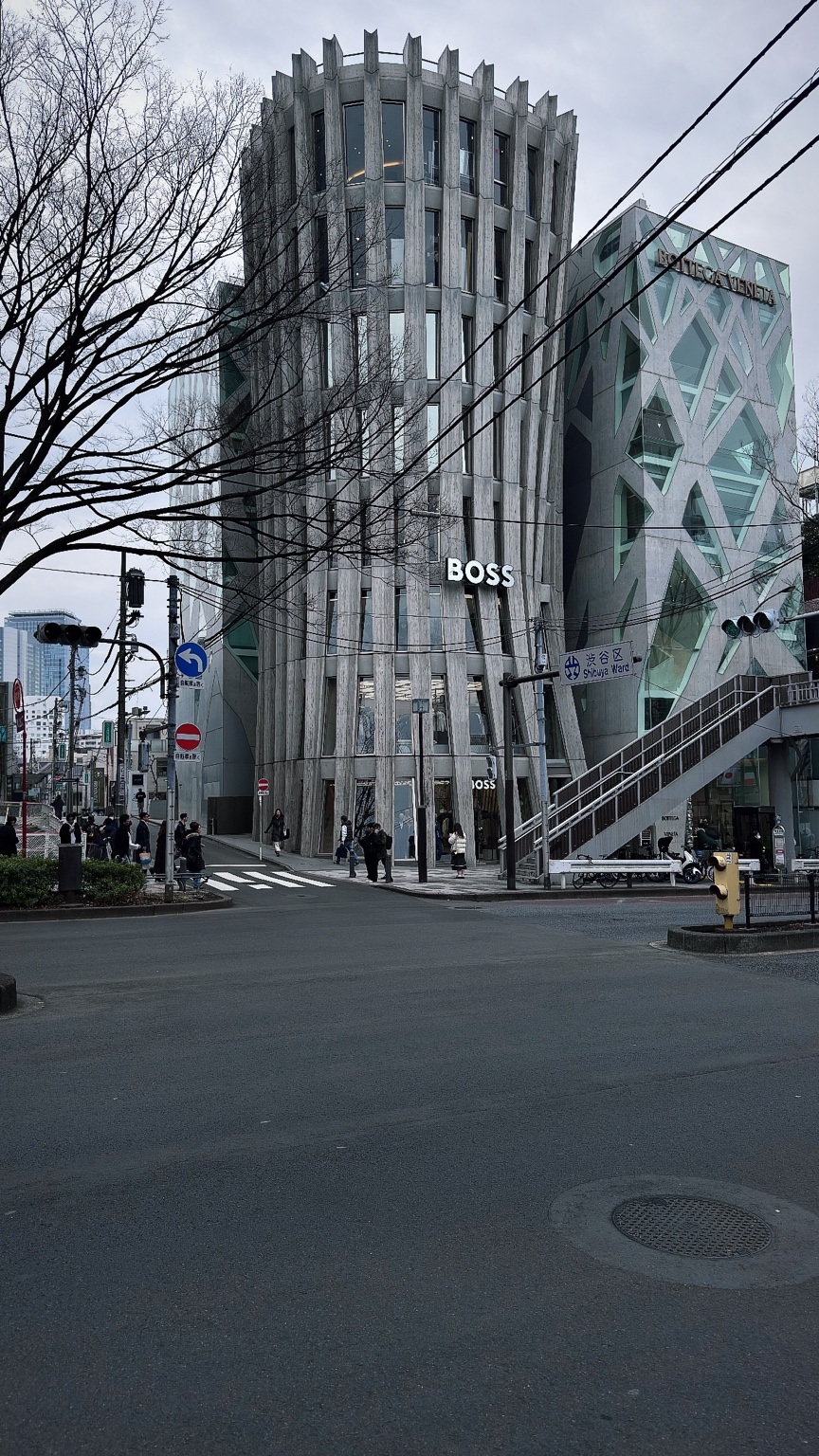 Vertical rhythm along the street. Tokyo streets.