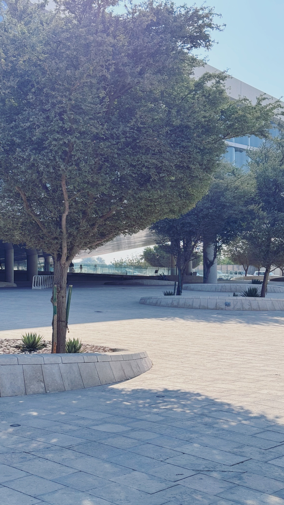 Approaching through the courtyard. Qatar National Library.