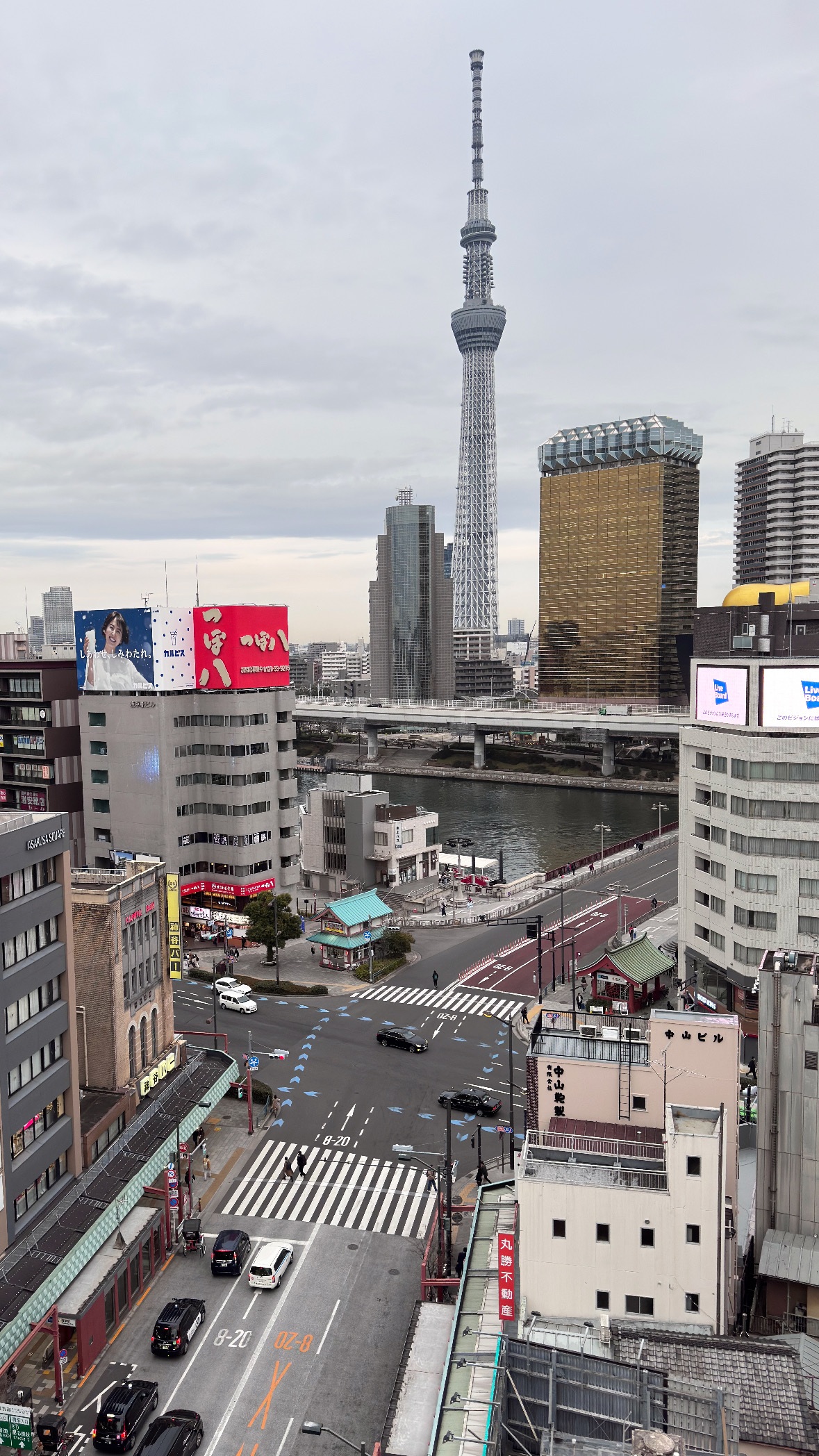 Skytree across the rooftops. Tokyo streets.