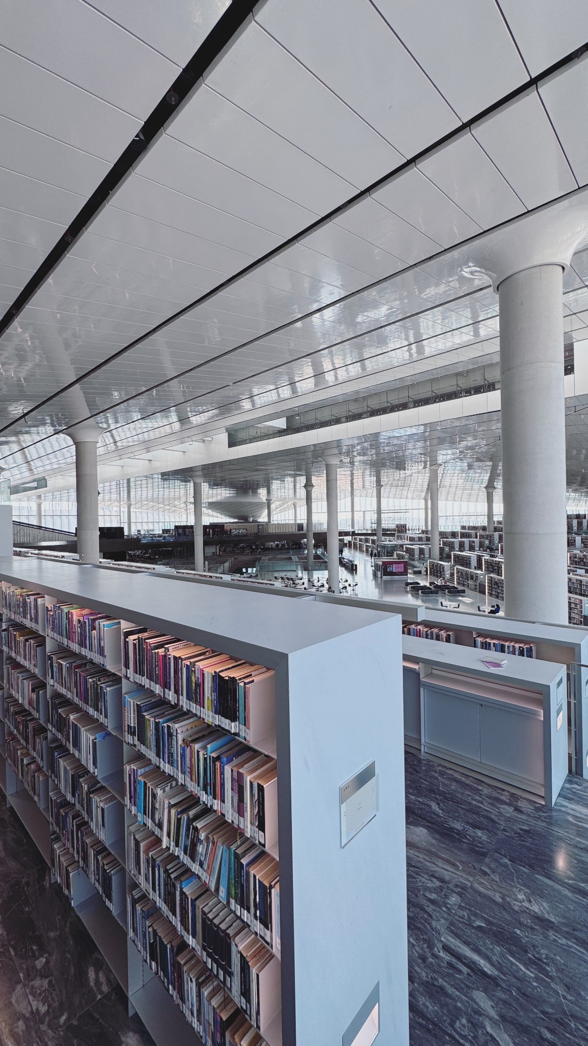 Reading beneath the glass. Qatar National Library.
