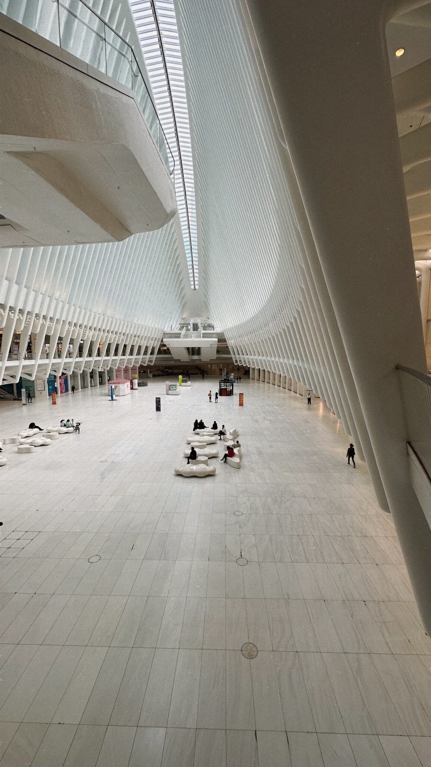 Curves above the public floor. The Oculus.