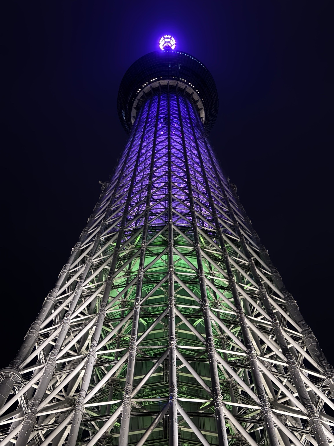 Skytree illuminated. Tokyo streets.