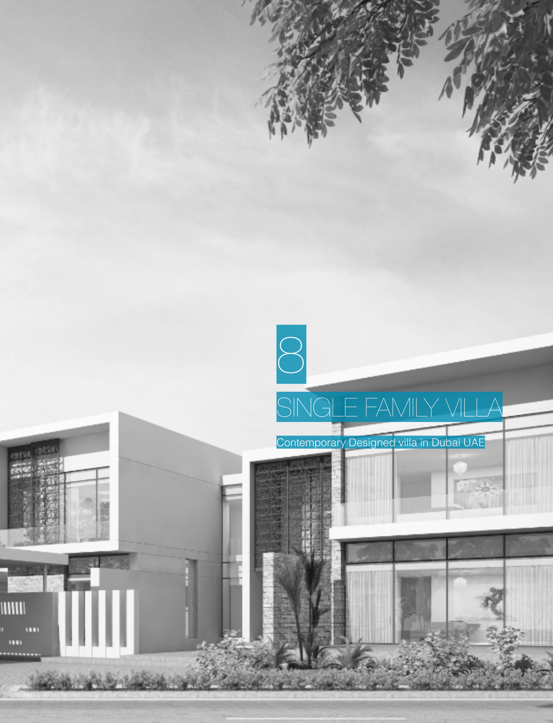 Single Family Villa — Project introduction and street façade