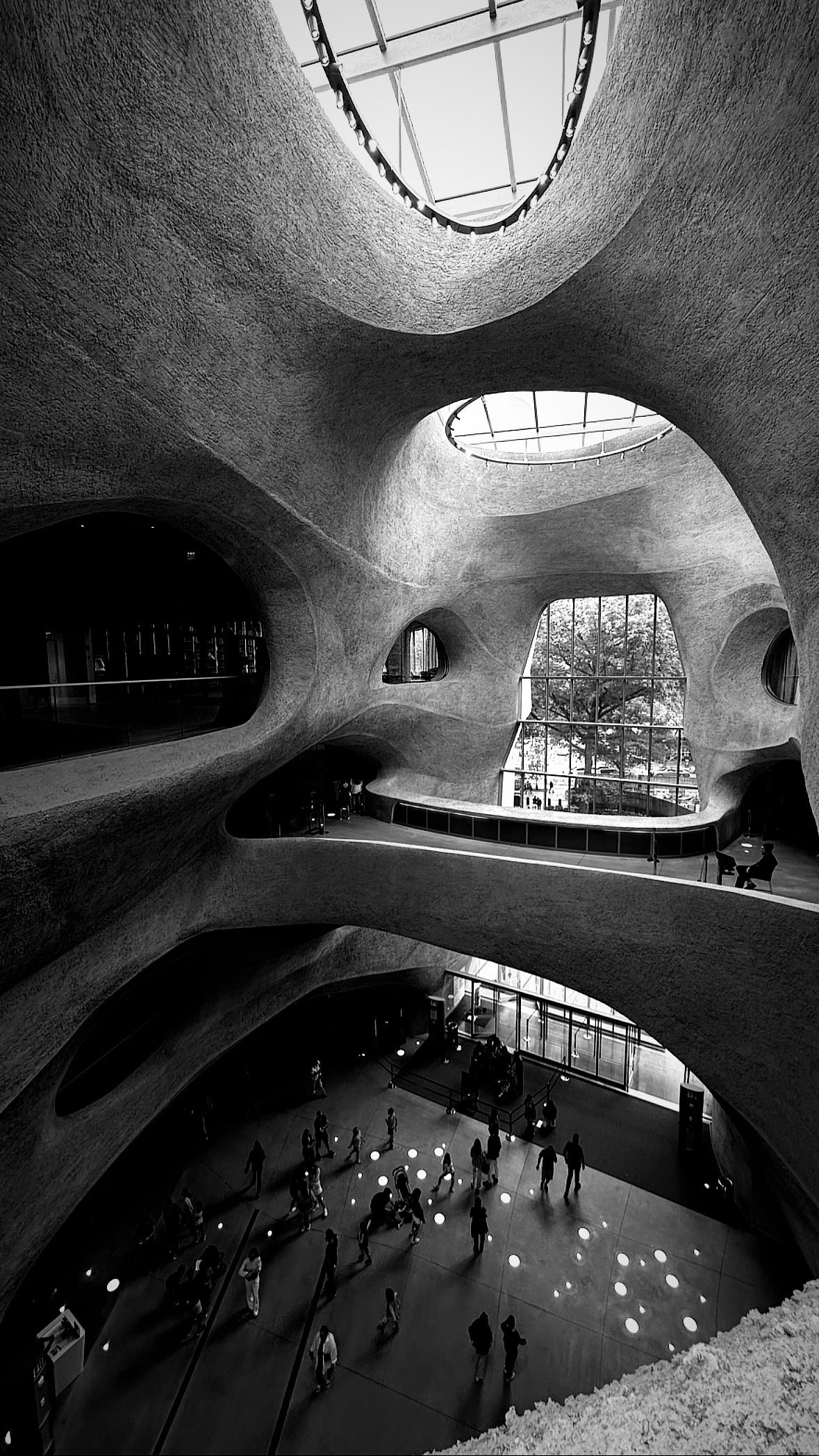 Light, bridges and sculpted openings at the Richard Gilder Center