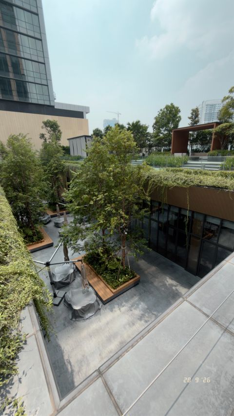 Planting between the buildings